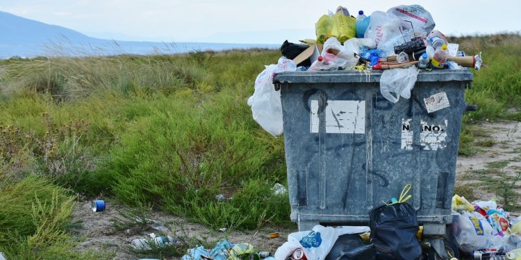 Waste Management Report 1st May 2019