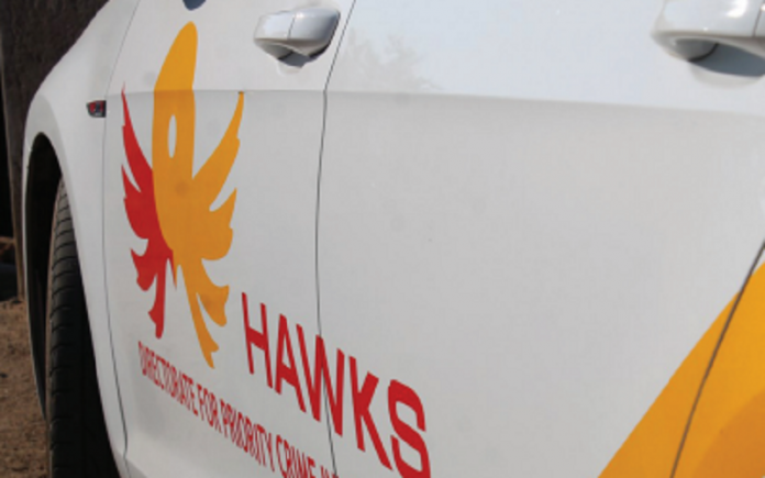 Hawks: Bitou Municipality, Western Cape
