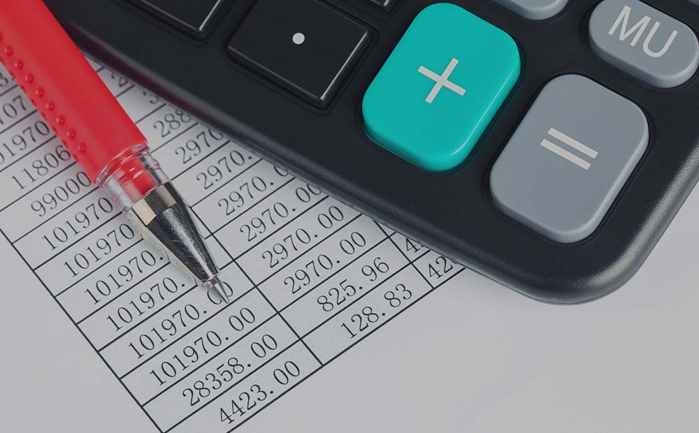 Oversight Report of Draft Bitou Budget