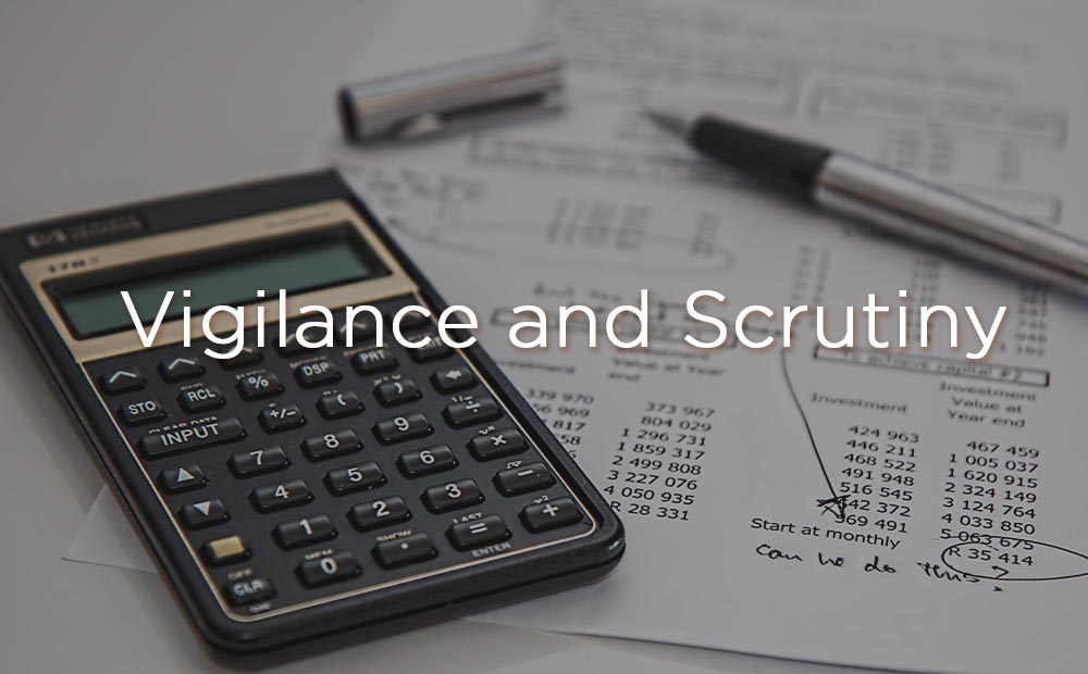 Vigilance and Scrutiny