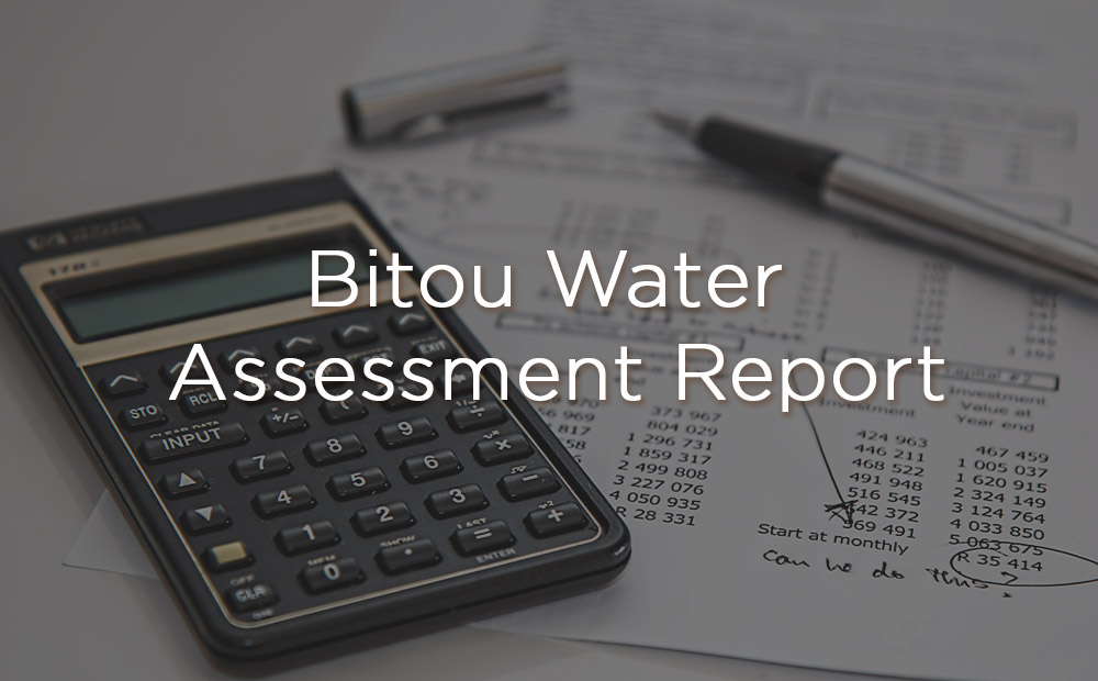 Bitou Water Assessment Report